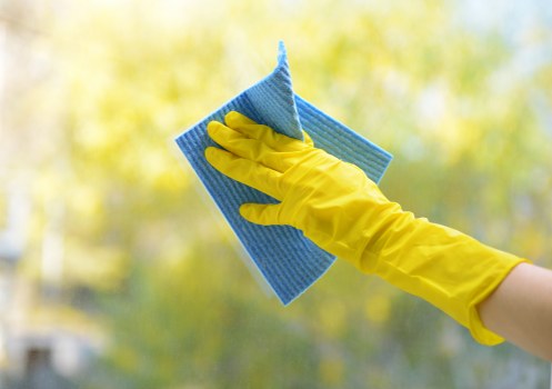 Carpet cleaning team using sustainable waste sorting in Brunswick Park