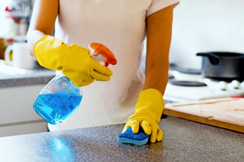 Kitchen and upholstery stain removal in Brunswick Park