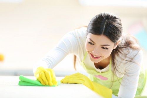 Professional steam carpet cleaning improving a family home carpet