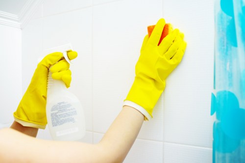 Professional pet stain cleaning in a Brunswick Park home