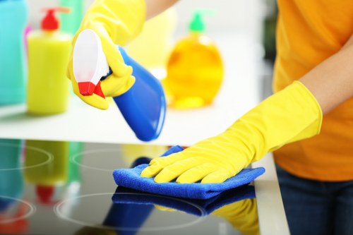 Steam cleaning treatment for different carpet types in Brunswick Park