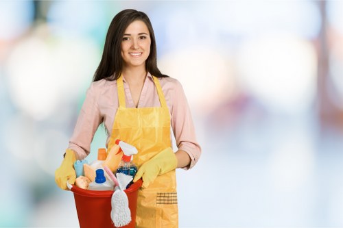 Brunswick Park Carpet Cleaners introducing local professional carpet care
