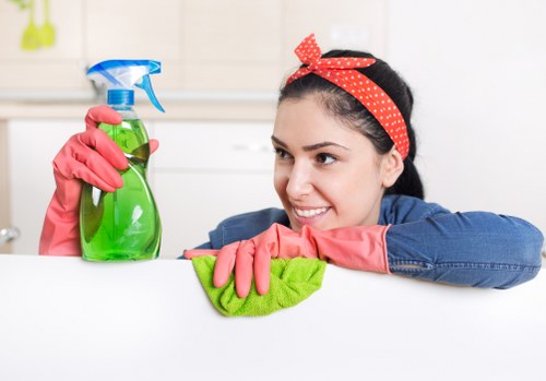Technician performing deep sofa cleaning for a living room sofa in Brunswick Park