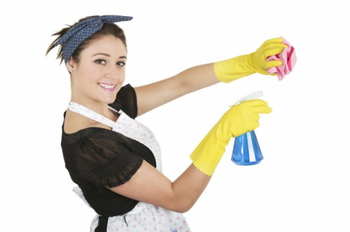 Online payment options for Brunswick Park Carpet Cleaners including card and PayPal