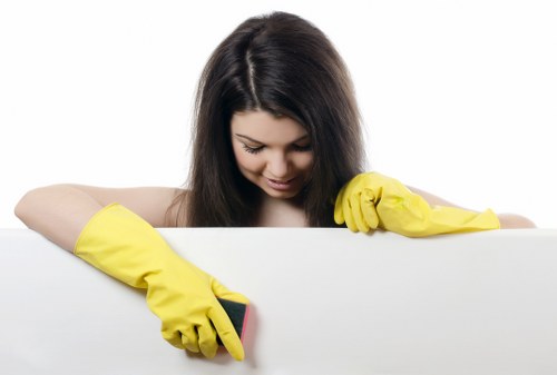 Professional carpet stain removal in Brunswick Park