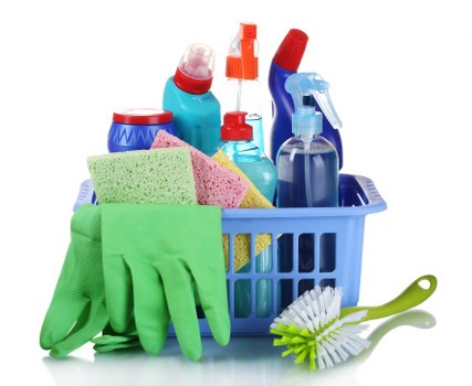 Fresh and clean living room after pet odour removal